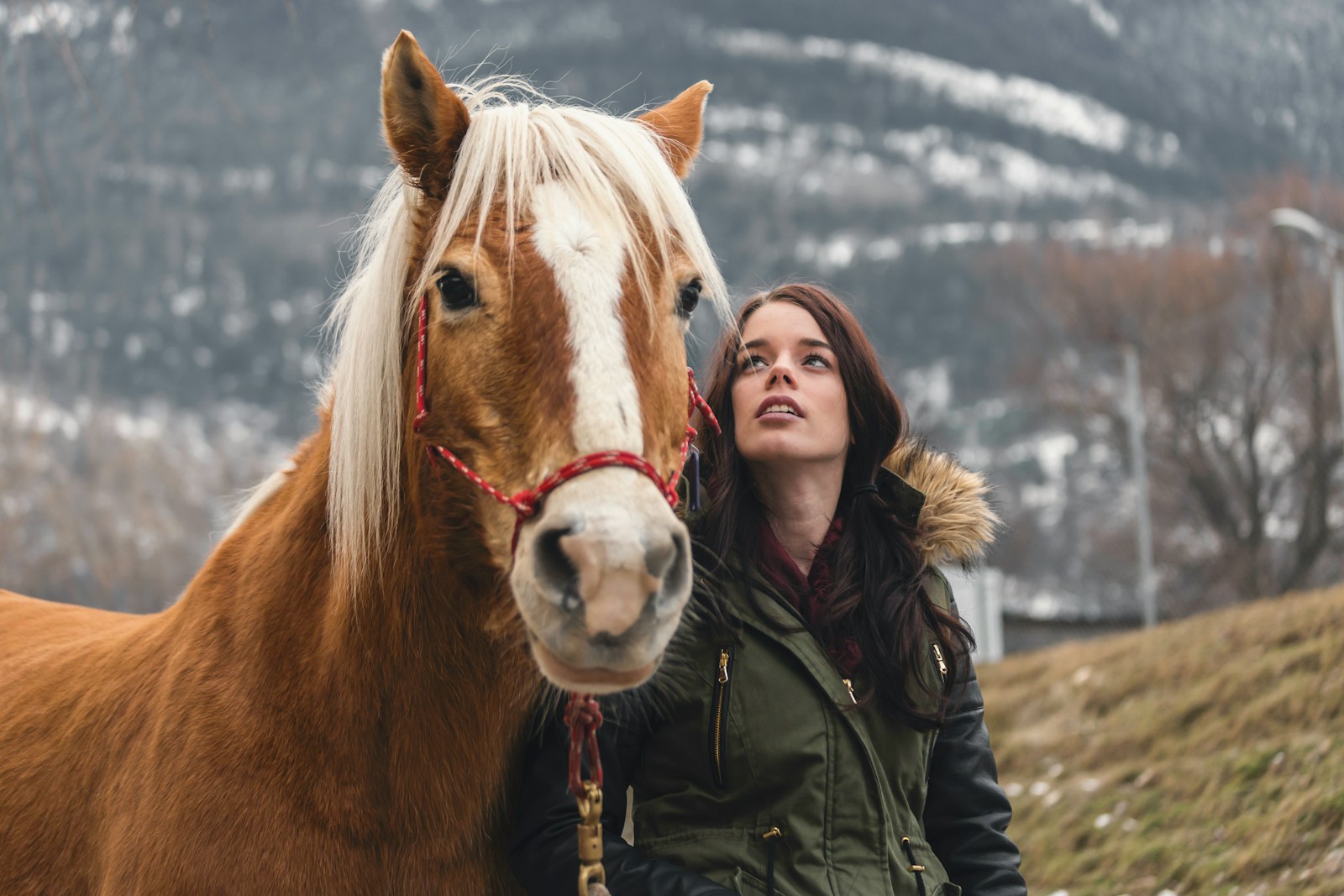 Photo by Raphael Andres woman in green parka jacket standing beside brown horse